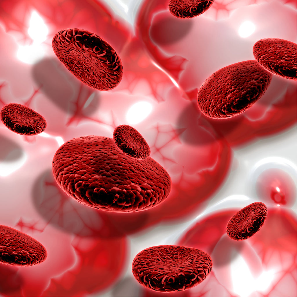 Halim Seeds for Boosting Hemoglobin Levels