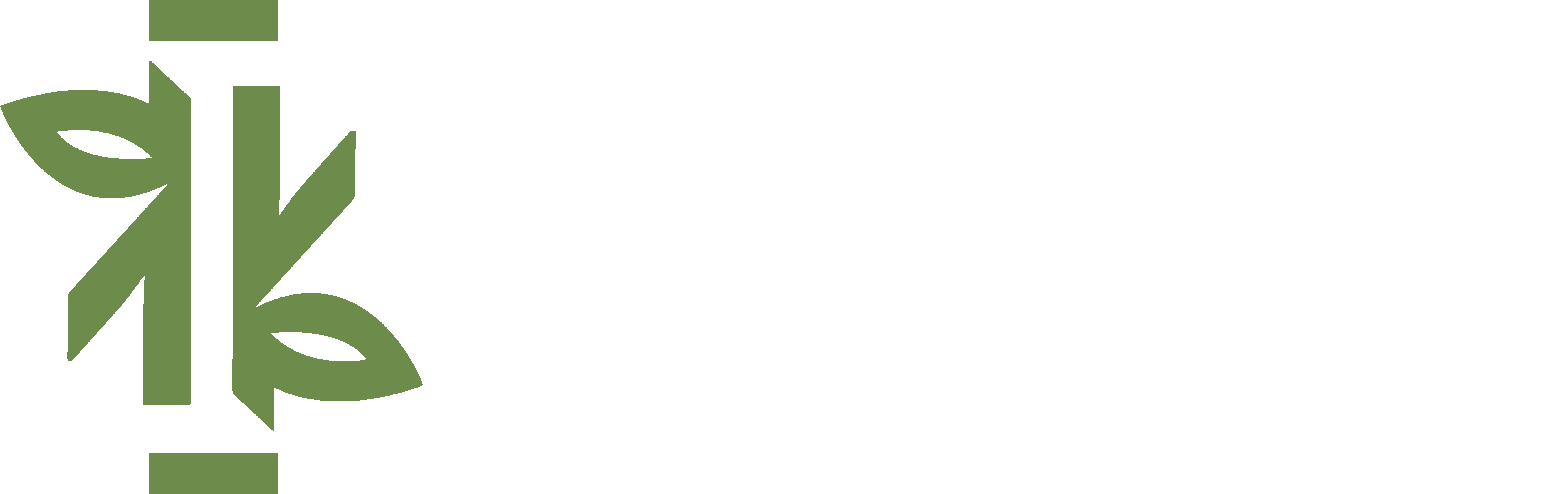 Mystical India Shop